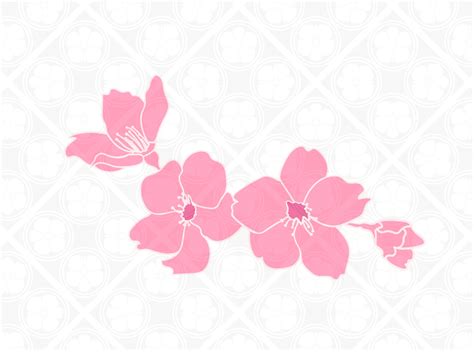 Cherry Blossom Sakura Flower SVG Cut File PNG Digital | Etsy