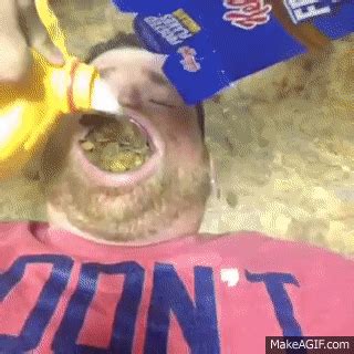 Ran Bowls GIF Find Share On GIPHY