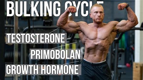 Bulking Steroid Cycle Off Season Stack Design Youtube
