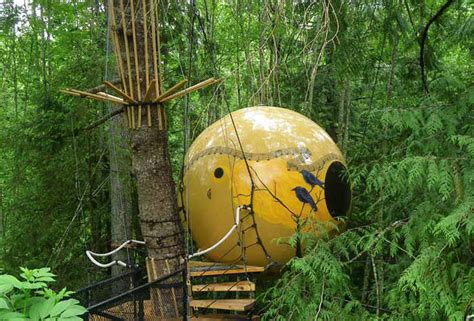 Treehouse Hotels The Worlds 10 Coolest Treehouse Hotels Thrillist