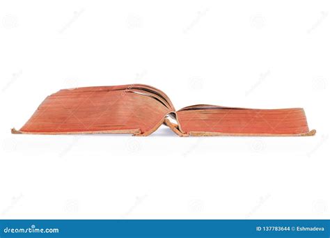 Large Open Vintage Book Side View Isolated With Clipping Path Royalty