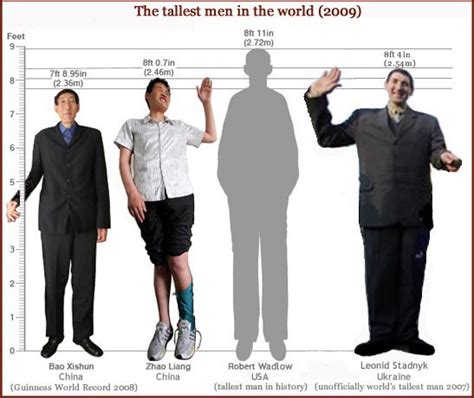 The 3 Tallest Men In The World And Their Hands Bao Xishun Zhao Liang And Leonid Stadnyk Hand