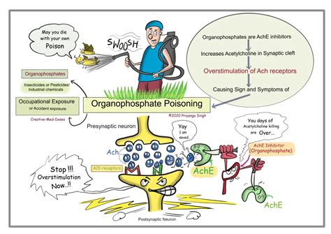 Organophosphate Poisoning Creative Med Doses