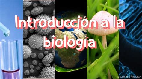 Introducción A La Biología Youtube