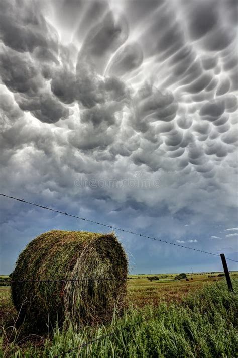 Prairie Storm Clouds Mammatus Stock Photo Image Of Clouds Cloud