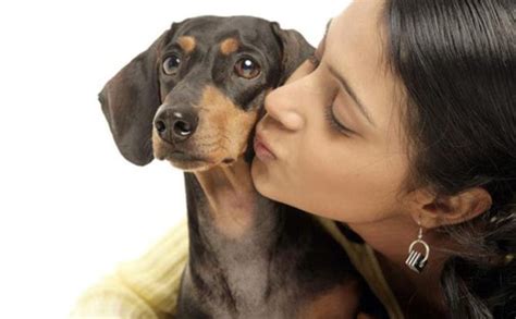 Dog Owners Kiss The Dog More Often Than Their Partner The Dogman