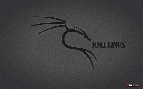 Kali Linux Desktop Wallpaper 72 Images