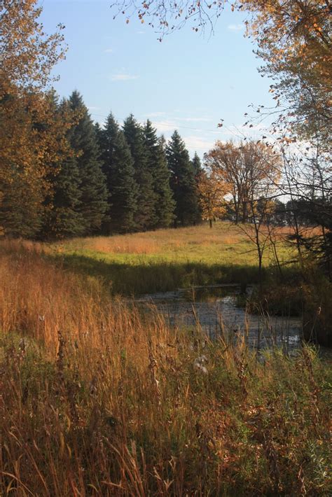 Explore an array of glendalough state park, battle lake vacation rentals, including cabins, cottages & more bookable online. 72 MN State Parks in 27 Days: October 9, 2010 ...