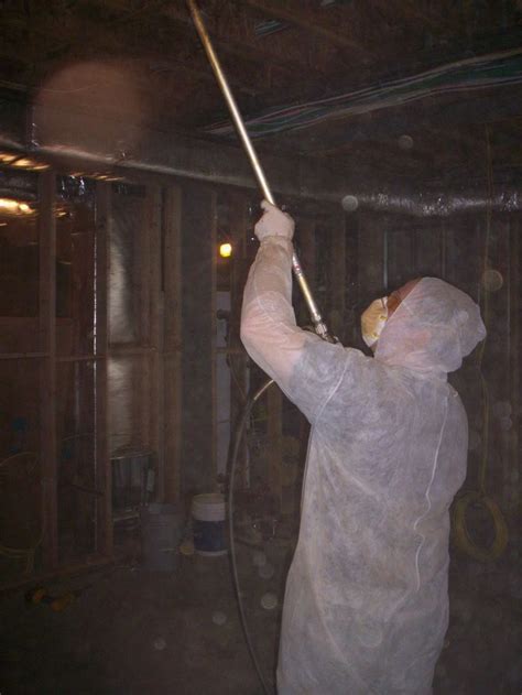 Spraying Mold Preventative Mold Remediation Molding Painting