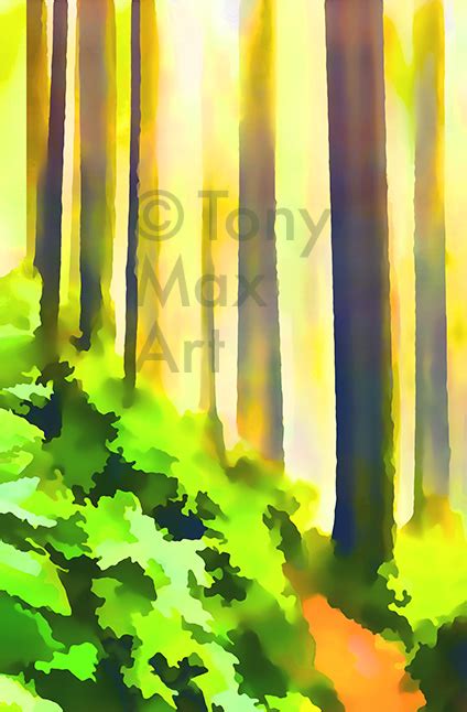 Misty Woods Trail British Columbia Art By Artist Tony Max