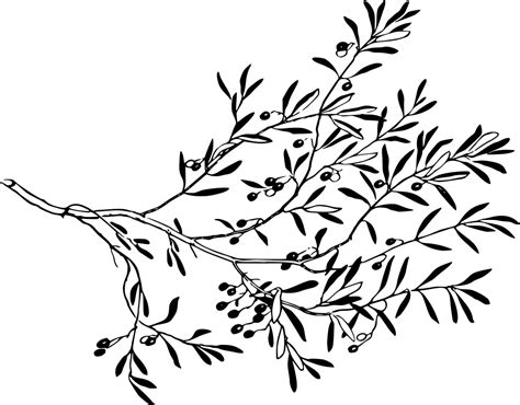 Svg Tree Branch Plant Natural Free Svg Image And Icon Svg Silh