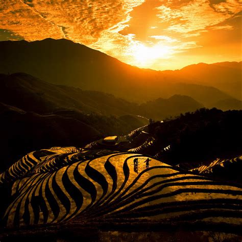 Photo Image And Picture Of Longji Terraced Rice Fields Guilin