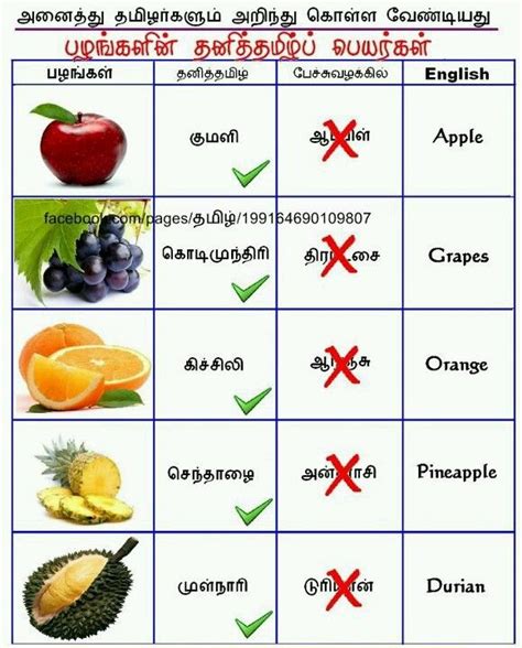Read more to find 10 extremely healthy foods lists that easily. my tamil fruit name | Wow -Tamil Nadu | Pinterest | Fruit ...