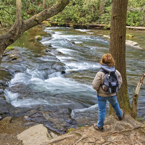 5 Hikes That Beat The Crowds In Great Smoky Mountains National Park