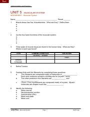 Muscular System Worksheet.pdf - Back Medical Anatomy and Physiology