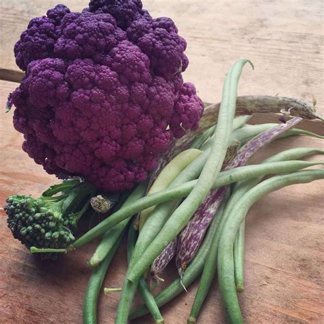 Purple Vegetables to Make Stunning Harvests | Purple ...
