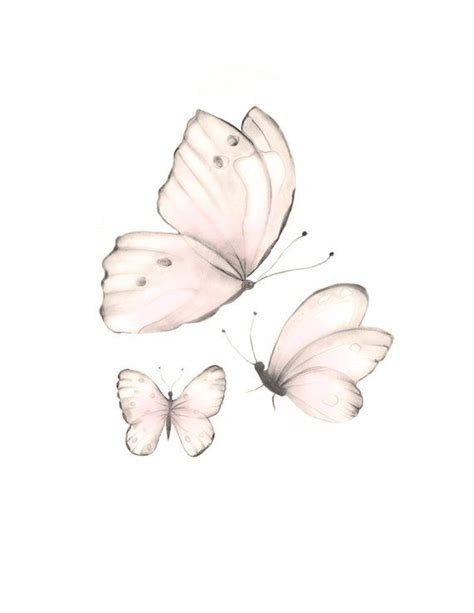 Pink Butterfly Pint Sweet Blush Butterflies Pencil Drawing Baby Wall