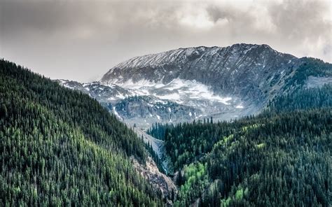 nature, Landscape, Colorado, Mountain, Forest, Clouds, Snow, Trees 