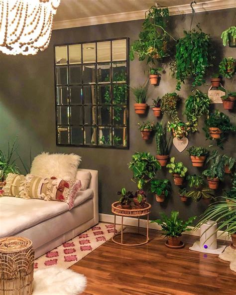 The Joy Of Hanging Plants In Your Living Room