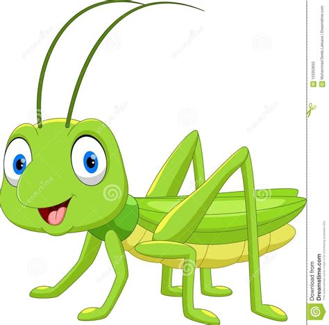 Illustration About Cute Grasshopper Cartoon Isolated On White