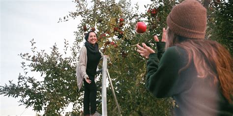We are unable to complete your request at the moment. 5 Places to Go Apple Picking Near NYC (And What to Do ...