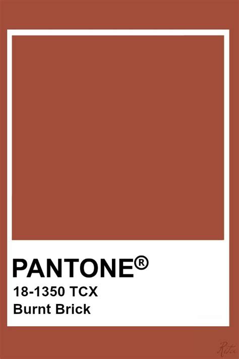 Pantone Brick Red Pantone Colour Palettes Pantone Red Red Colour
