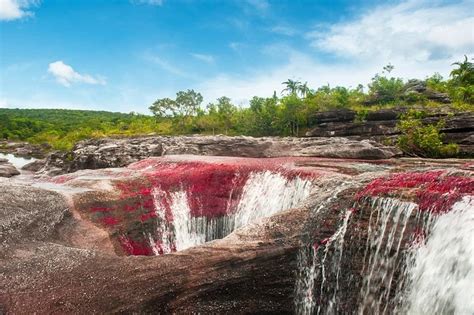 35 Incredible Caño Cristales Facts