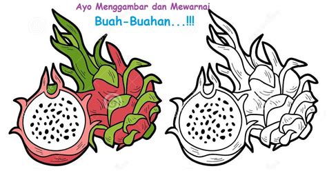 Kali ini istri ku langsung berbaring dan daleman warna merah jangan sampe lolos. Mewarnai Gambar Buah Dan Sayuran - Warna Key