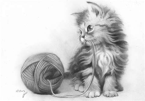 Easy Cute Animal Drawings In Pencil The Animals Realisticdrawings