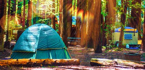 Where To Stay Near Redwood National Park Top Places 2023 Travel