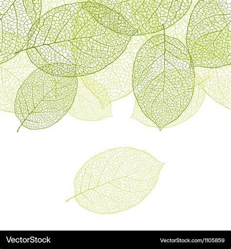 Fresh Green Leaves Background Royalty Free Vector Image