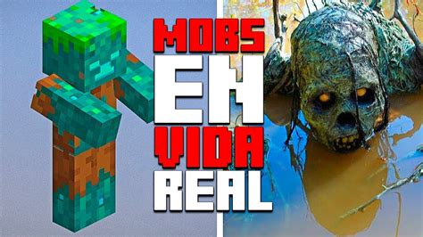 Mobs De Minecraft Na Vida Real Youtube Free Hot Nude Vrogue Co