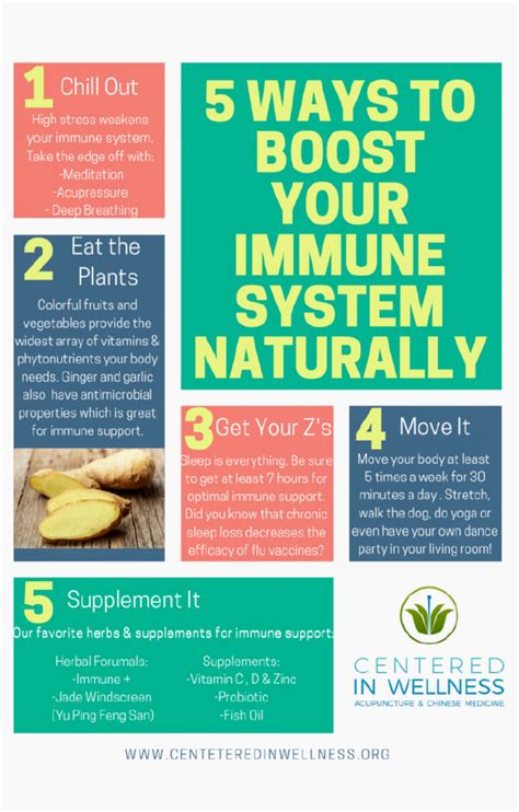 5 Ways To Boost Your Immune System Naturally Sports Performance