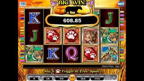 Free versions of slot machines online from the austrian manufacturer. IGT Cats Online Slot Machine Game Play - YouTube