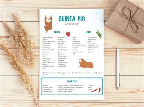Guinea Pig Food List Printable Pdf Safe Fruits Vegetables Ph