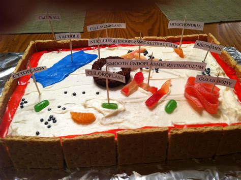 Plant Cell 3d Project Made With Cake And Candies Cells Project