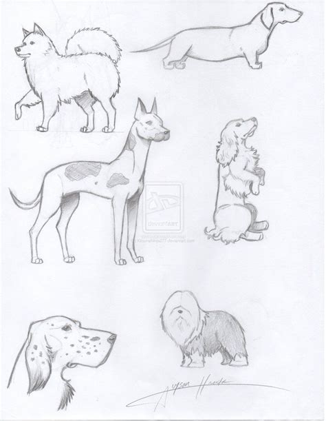 Realistic Dog Drawing Step By Step At Explore