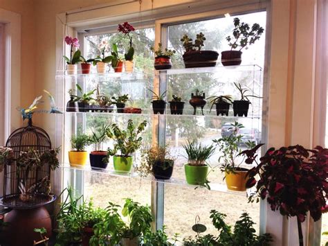 Lowe's and home depot carry very limited options. DIY 20 Ideas of Window Herb Garden for Your Kitchen