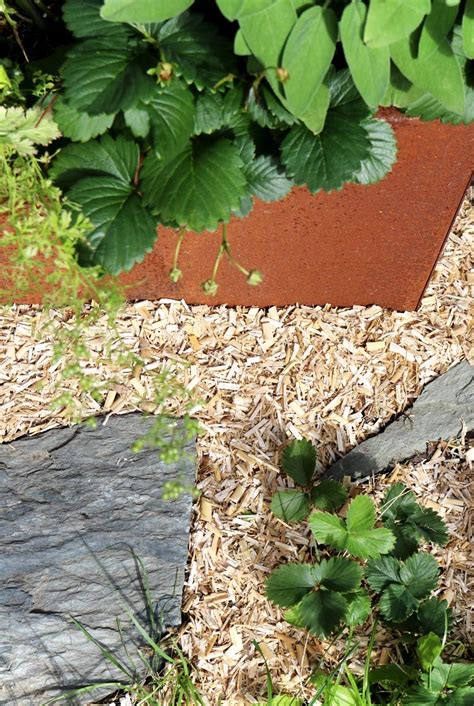 Die besten jahreszeiten bieten sich im zeitigen frühjahr und herbst an, außerhalb der vegetationsperiode, die zeit in der die pflanze aktiv wächst. Miscanthus Häcksel - die Alternative zu Rindenmulch ...