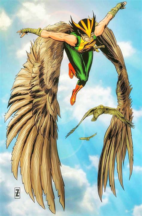 Hawkgirl Hawkgirl Dc Comics Heroes Dc Comics Art