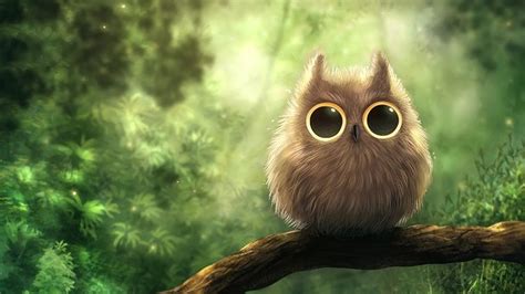 Spring Owl Wallpapers Wallpaper Cave