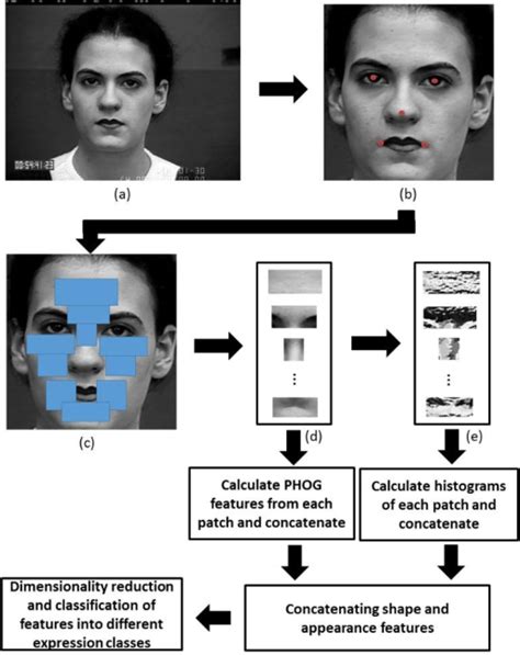 conception of the facial expression recognition system a input download scientific diagram