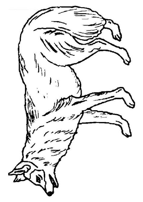 Si tu aimes les coloriages loup et autres dessins à imprimer, tu seras heureux de retrouver sur cette page plusieurs beaux dessins loup prêt à être imprimé. 82 best images about Dessins de Loups à colorier on ...