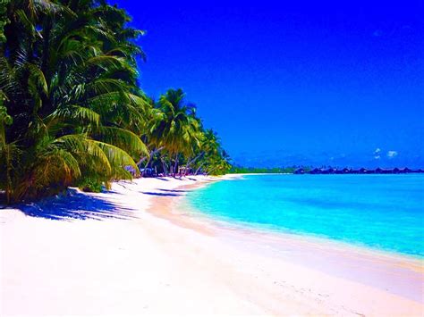 Maldives Ultimate Beach Paradise For Summer Holidays