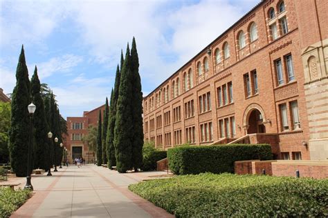 University Of California Los Angeles Ucla Blueberry College