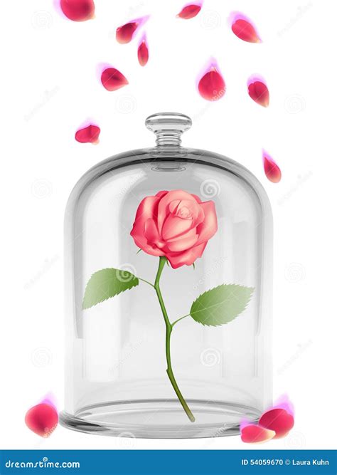 Background Art Enchanted Rose Stock Illustration Illustration Of