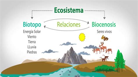 07 Los Ecosistemas Biología Y Geología De 1 Eso