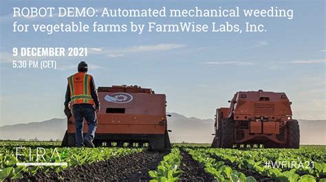 Demo Robot Automated Mechanical Weeding For Vegetable Farms By
