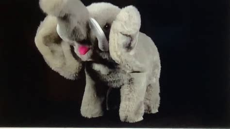 Baby Einstein Baby Noah The Elephant Toy Youtube