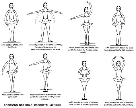 Positions Of The Feet And Arms Cecchetti Method Ballet Positions